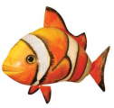 Oranžový Nemo