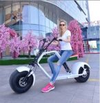 Elektrický skútr 1000W SCOOTER PŘEDNÍ,ZADNÍ TLUMIČE PRO DVA VYNDAVACÍ BATERIÉ Elektrická koloběžka 