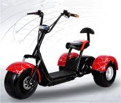 Elektrický TŘIKOLKÁ 1000W 40ah SCOOTER PŘEDNÍ, ZADNÍ TLUMIČE PRO DVA Elektrická koloběžka